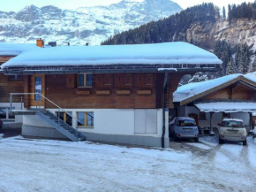 Apartment Schwendi 3 by Interhome Grindelwald
